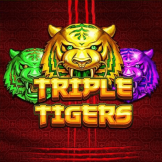 Triple Tigers logotipas