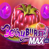 Berryburst Max logo