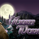 Night Wolves logotipas