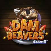 Dam Beavers cover