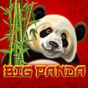 Big Panda cover