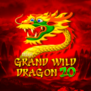 Grand Wild Dragon 20 cover