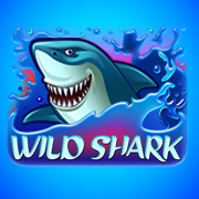 Wild Shark cover