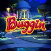Buggin cover