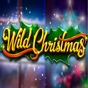 Wild Christmas cover