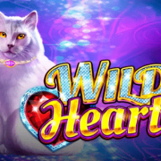 Wild Hearts cover