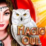 Magic Owl cover