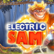 Electric Sam cover