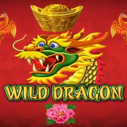 Wild Dragon cover