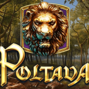 Poltava Flames of War cover