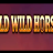 Wild Wild Horses logo