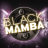 Black Mamba logo