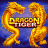 Dragon Tiger logo