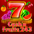 Cash N Fruits 243 logo