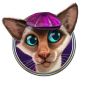 Cat 4 img