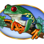 Frog img