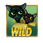 Wild img