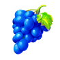 Grapes img