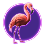 Flamingo img