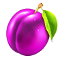 Plum img