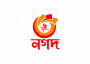 Nagad logo