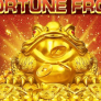 Fortune Frog logo