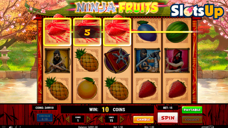 Ninja fruits slot