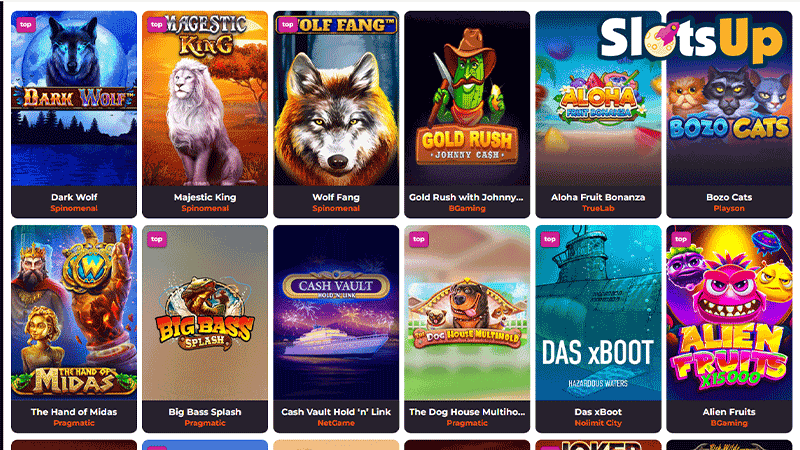 Rakoo slots