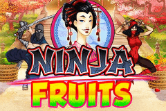 logo ninja fruits playn go gry avtomaty 