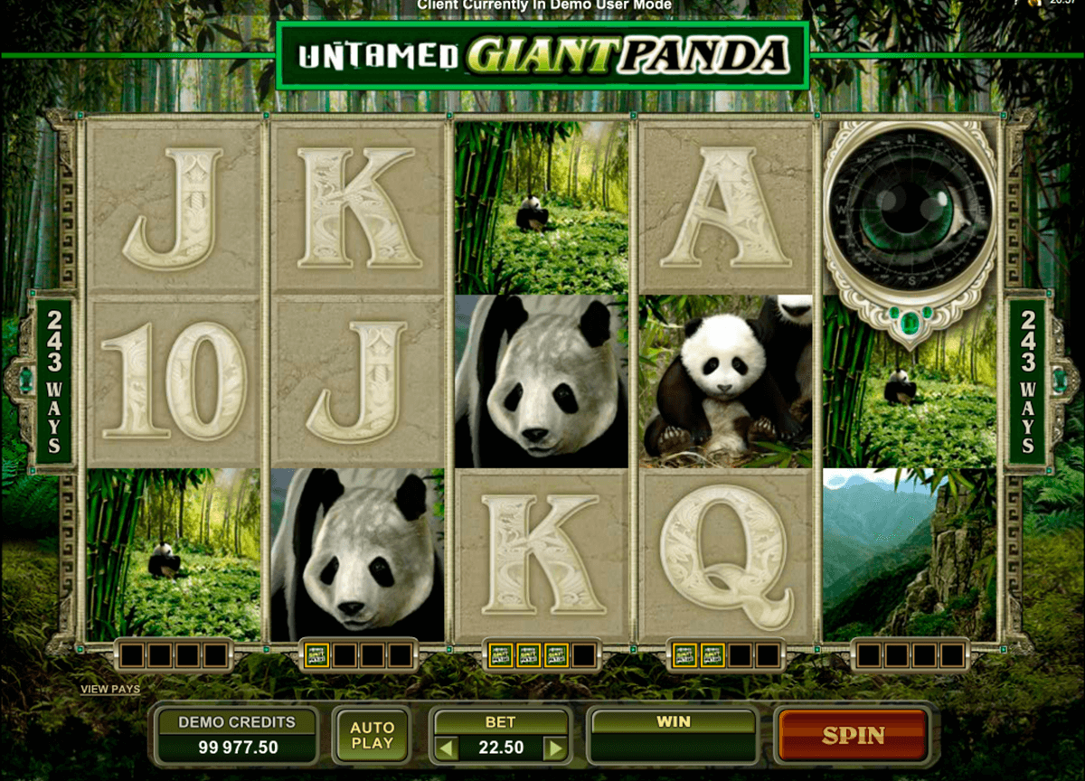 untamed giant panda microgaming online gra zadarmo 